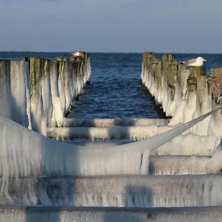 Kleine Kirr בית נופש *