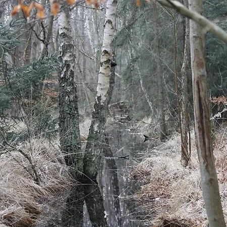 Kleine Kirr * Zingst