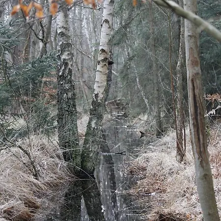 Kleine Kirr * Zingst
